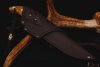 Нож "Сканди" Bohler N690, рукоять янтарная карельская береза. 